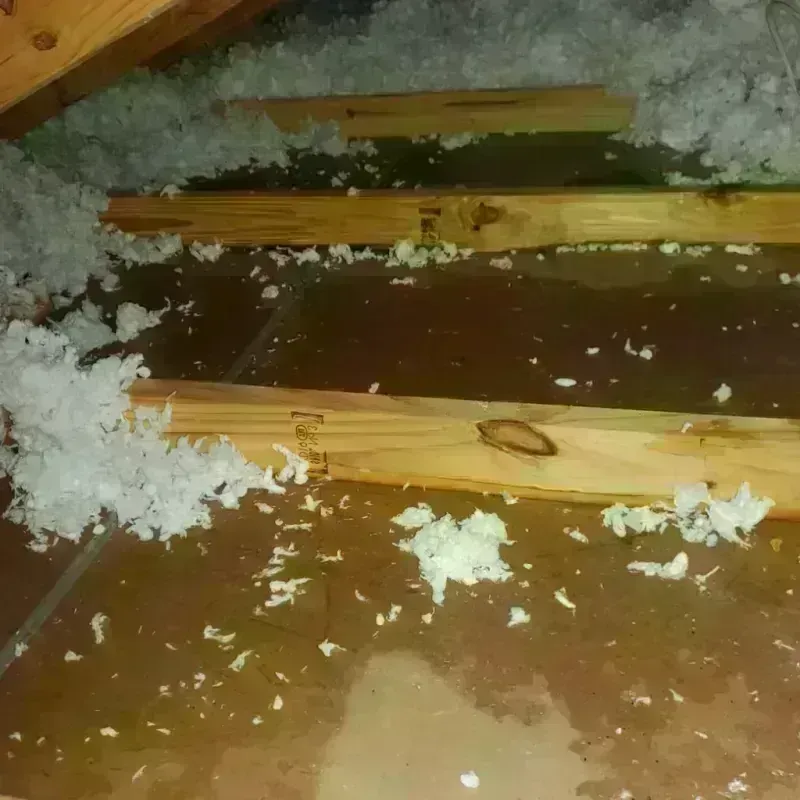 Attic Water Damage in Skowhegan, ME